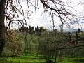 Fiesole Country Views